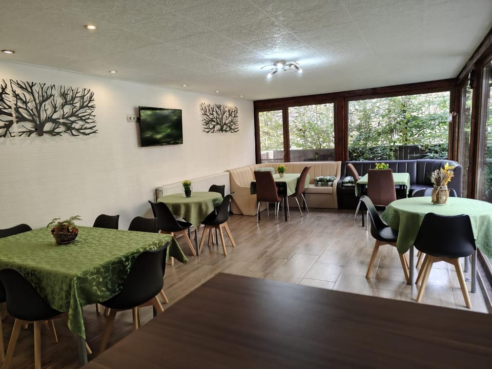 Pensiunea Verde Bed and Breakfast in Romania