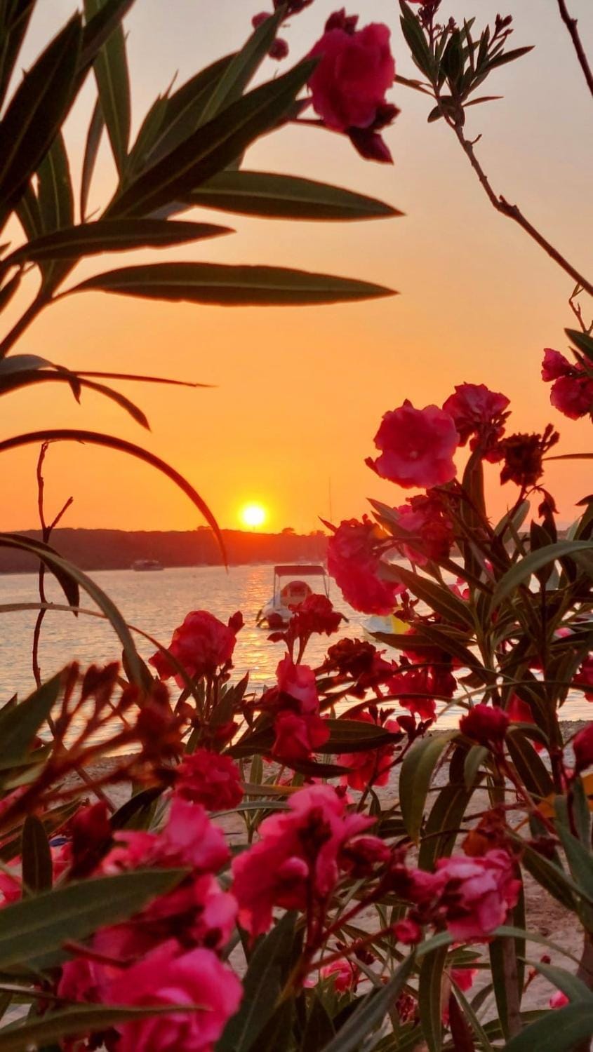 Apartmani Roxy Apartment in Dubrovnik-Neretva County