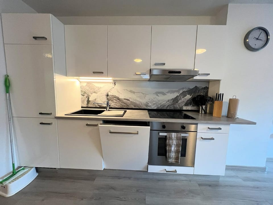 Kitchen or kitchenette, dishwasher, stove
