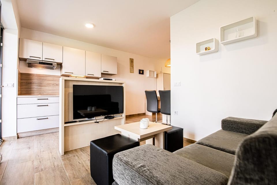 Communal lounge/ TV room, TV and multimedia, Living room, Seating area, air conditioner