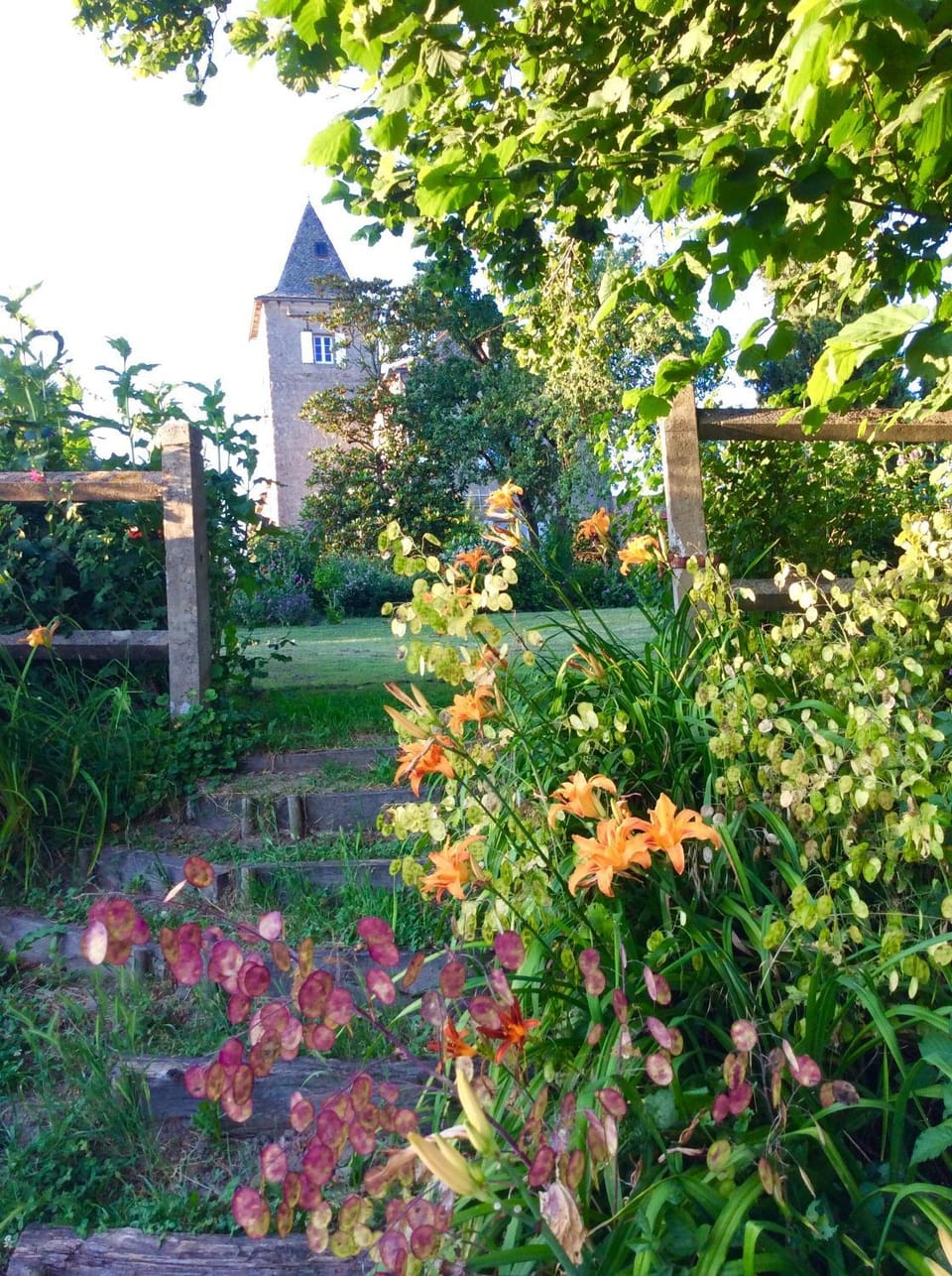 Garden view