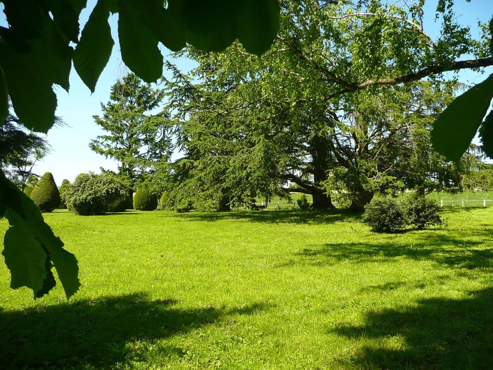 Garden view