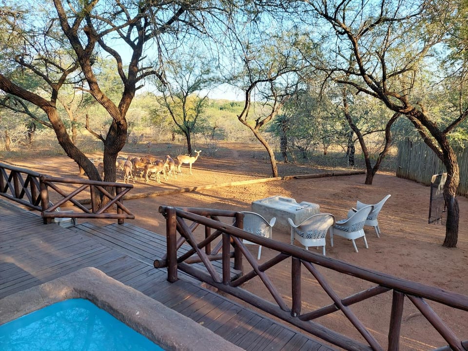 BBQ facilities, Garden, Animals