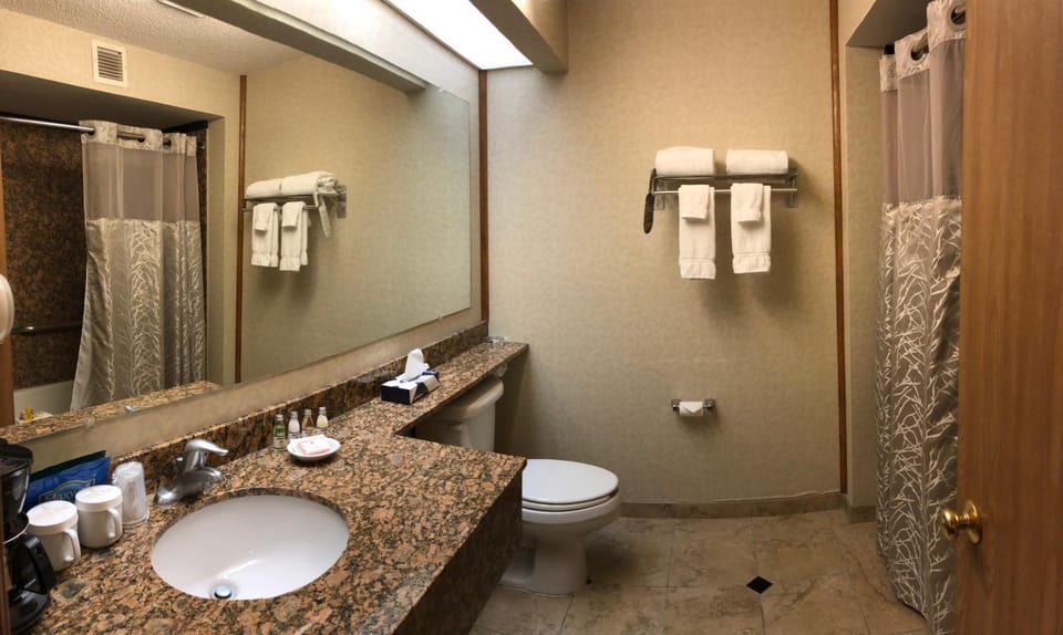 Shower, Toilet, Bathroom, Bath
