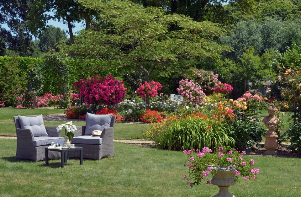 Garden view