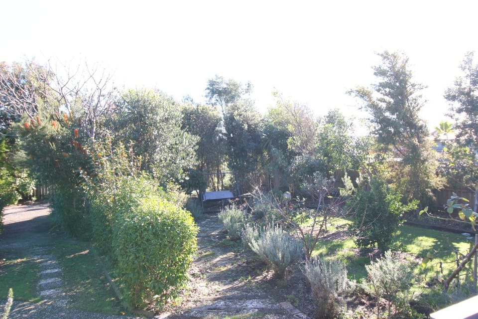 Natural landscape