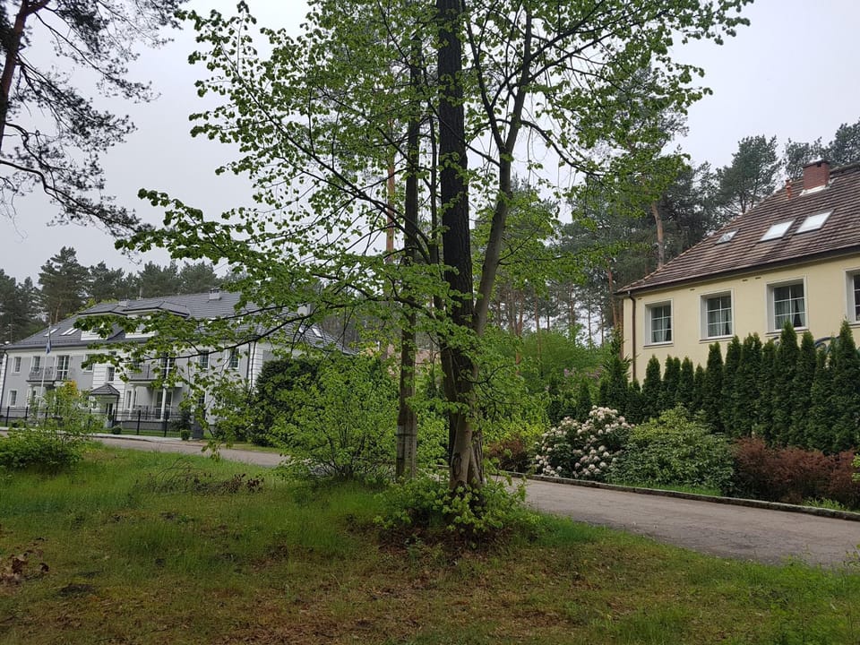 Willa Reverans Vacation rental in West Pomeranian Voivodeship, Poland