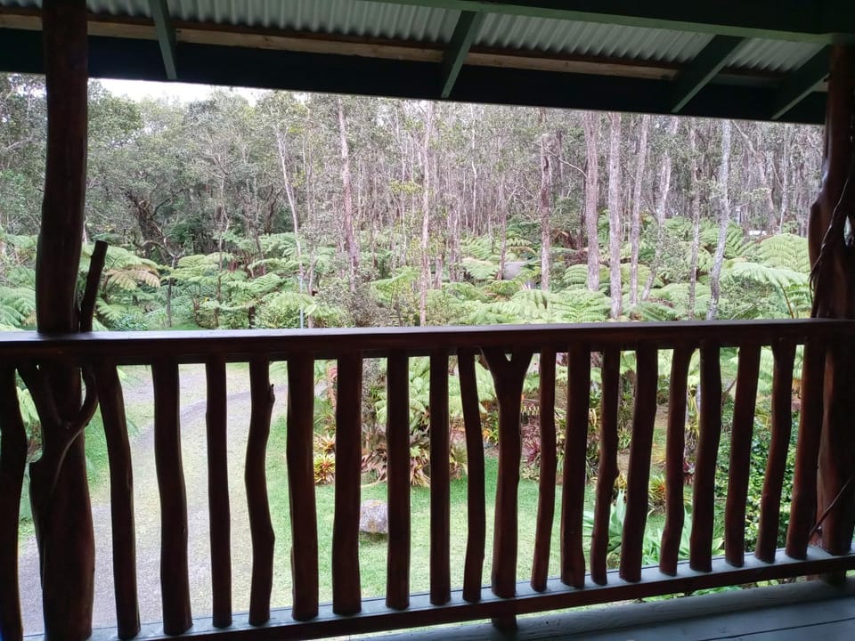 Natural landscape, Balcony/Terrace, Garden view
