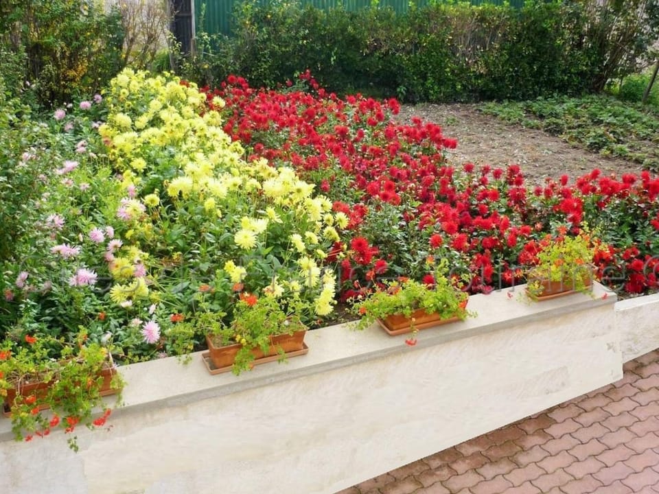 Gîte de charme à Amboise avec cour privée, proche des châteaux et vignobles, parfait pour 4 pers. - FR-1-381-55 House in Amboise