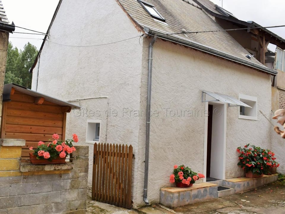 Gîte au Cœur du Val de Loire avec WIFI et Animaux Acceptés - FR-1-381-154 House in Centre-Val de Loire