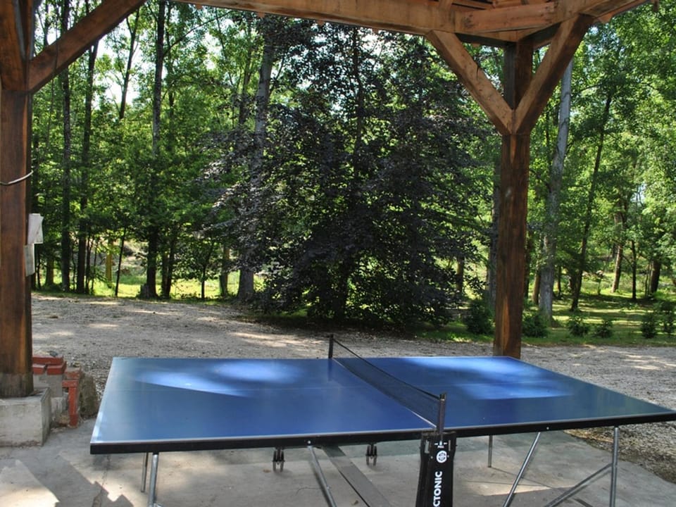 Gîte douillet en forêt d'Amboise, parc boisé 2.5 ha, cheminée, vélos, WiFi, jardin privé, animaux acceptés - FR-1-381-457 House in Centre-Val de Loire