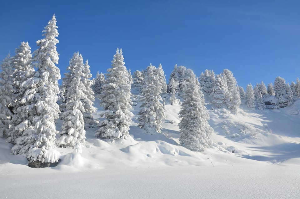 Natural landscape, Winter, Skiing