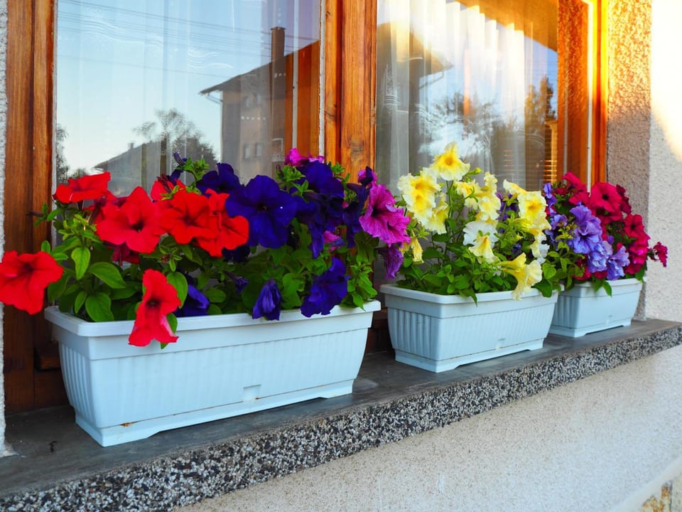 Орбелус Bed and Breakfast in North Macedonia