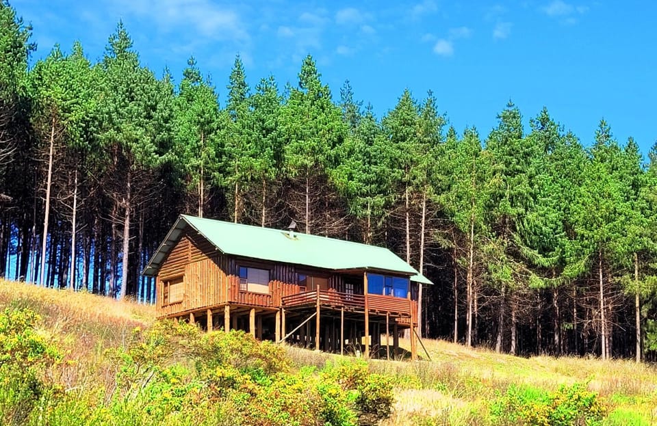 Stanford Lake lodge Bed and Breakfast in South Africa