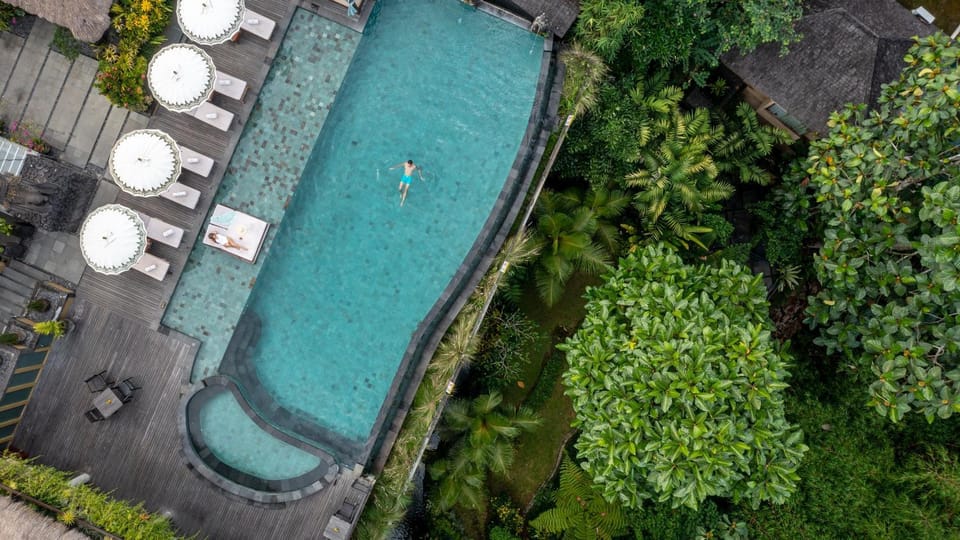 Day, Bird's eye view, Garden, Garden view, Pool view, Swimming pool, Swimming pool, sunbed