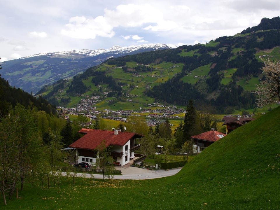 Summer, Area and facilities