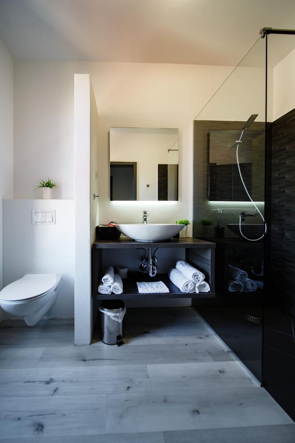 Shower, Toilet, Bathroom, Photo of the whole room, Bedroom, towels