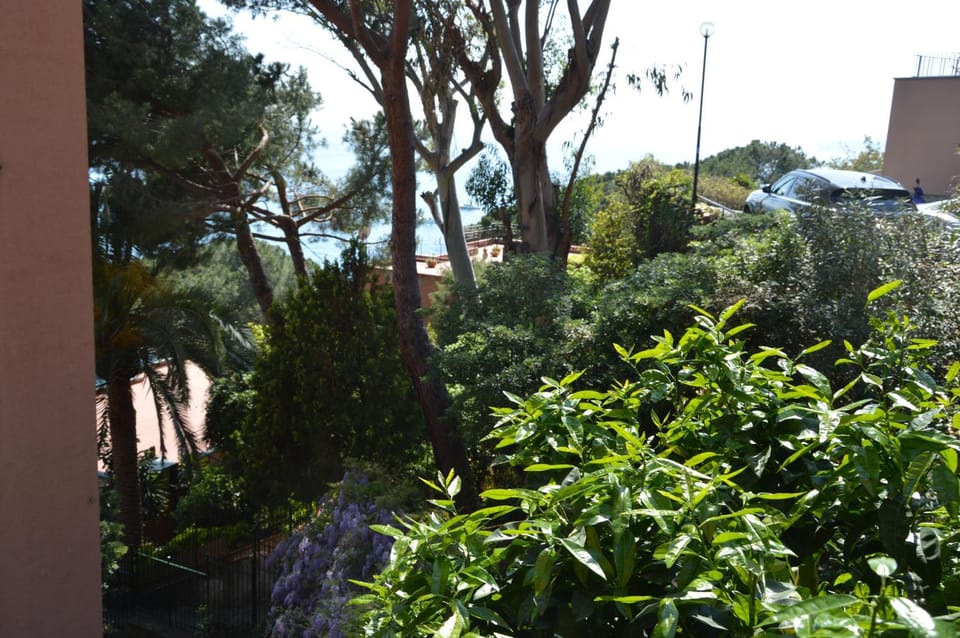 Natural landscape, Garden view