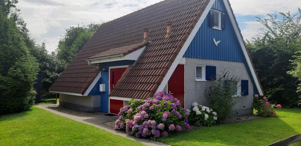 Shalom House in Anjum