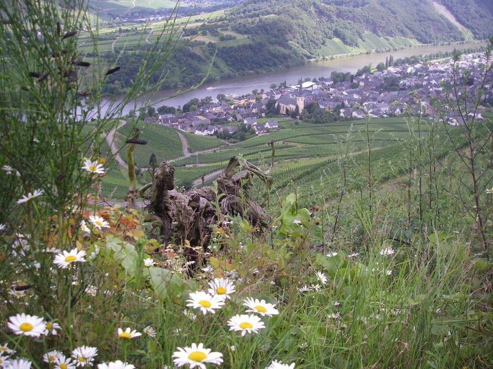 Natural landscape, Hiking