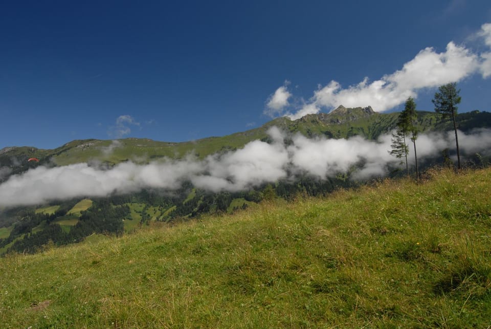 Natural landscape