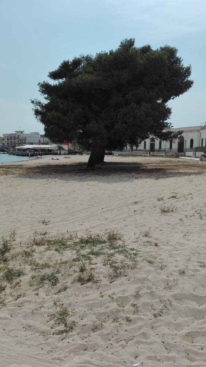Natural landscape, Beach