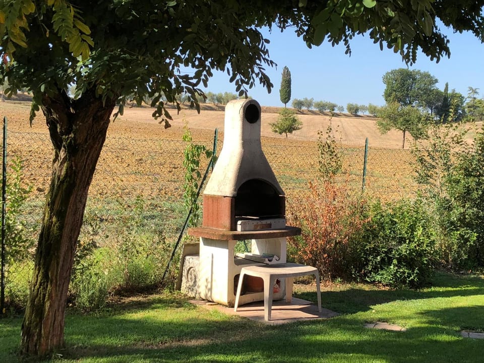 BBQ facilities, Area and facilities