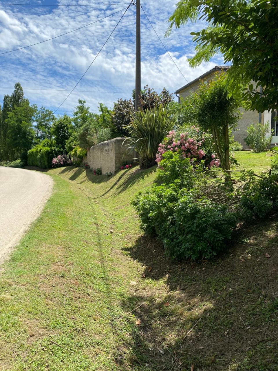 View (from property/room)