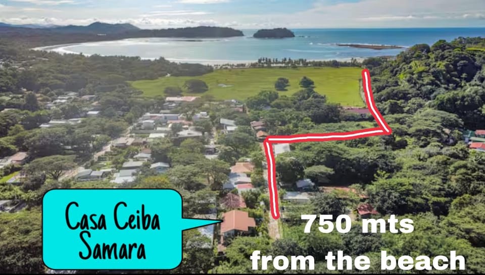 Bird's eye view, Sea view, Street view