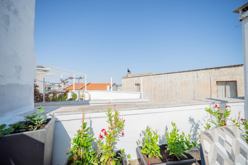 Casa Della Nonna - Centro Storico House in Conversano