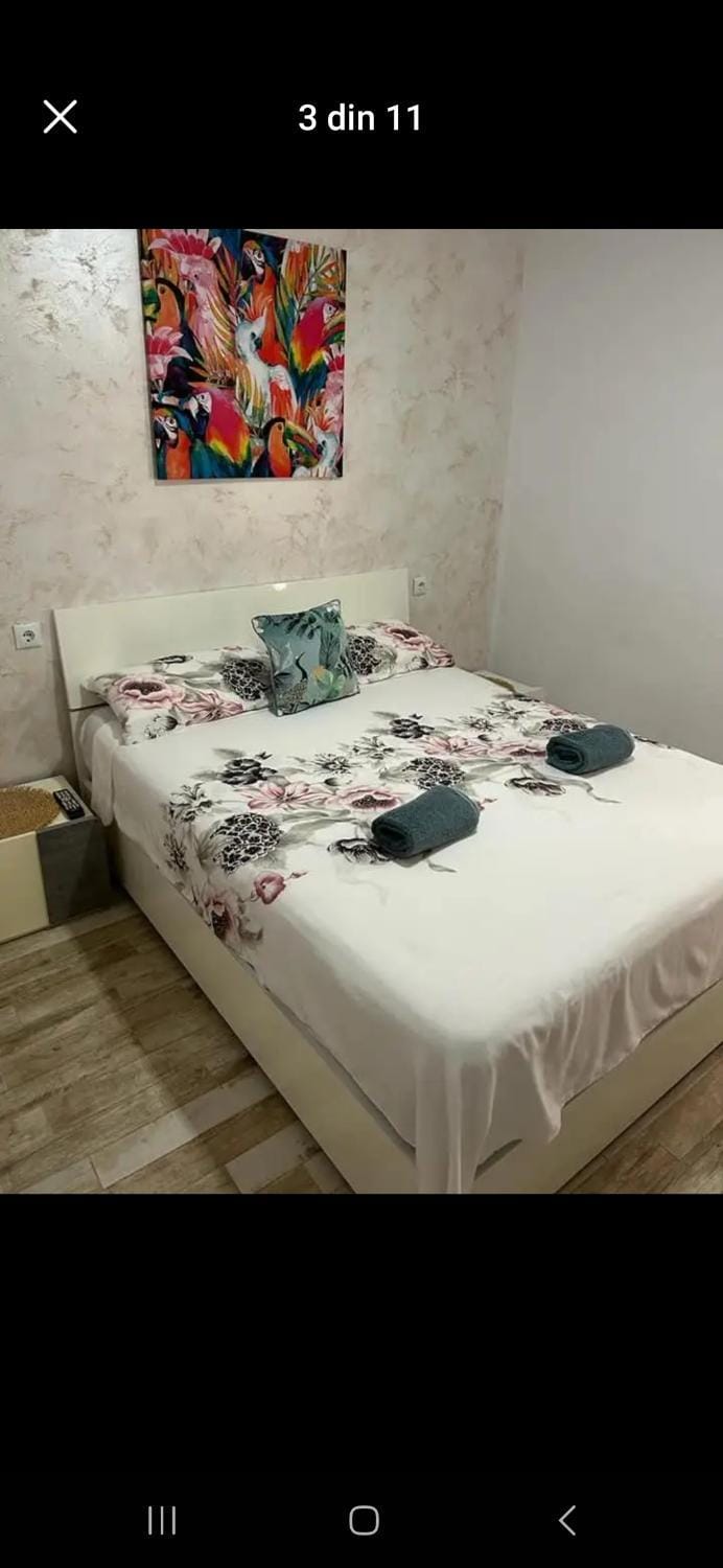 Sweet dreams Vacation rental in Alicante