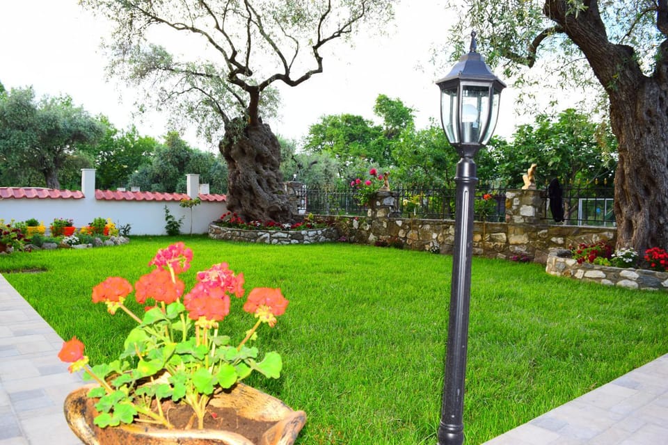 Tsafas Αpartments Apartment in Thasos