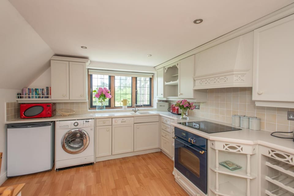 Kitchen or kitchenette, minibar, pet friendly, stove, toaster, washing machine