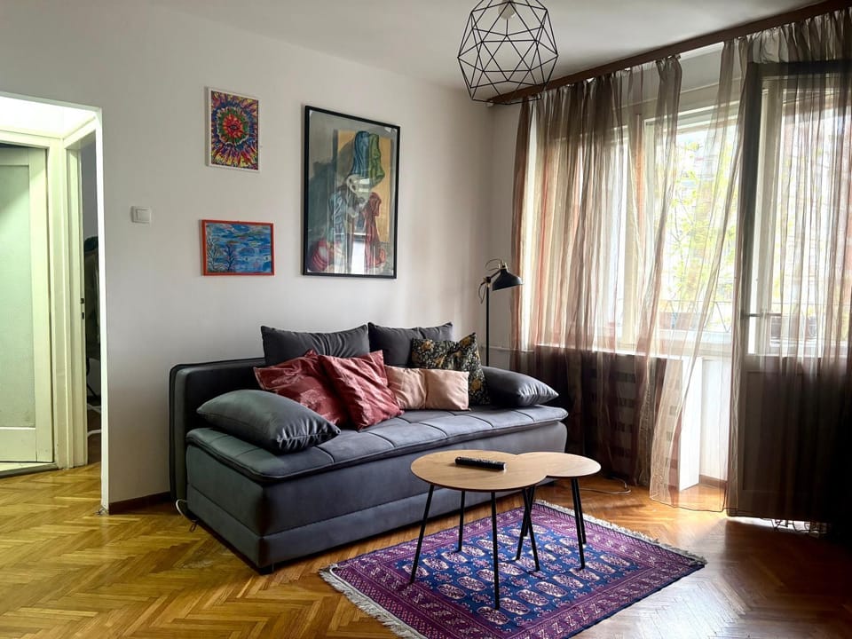Star apartment Apartment in Belgrade