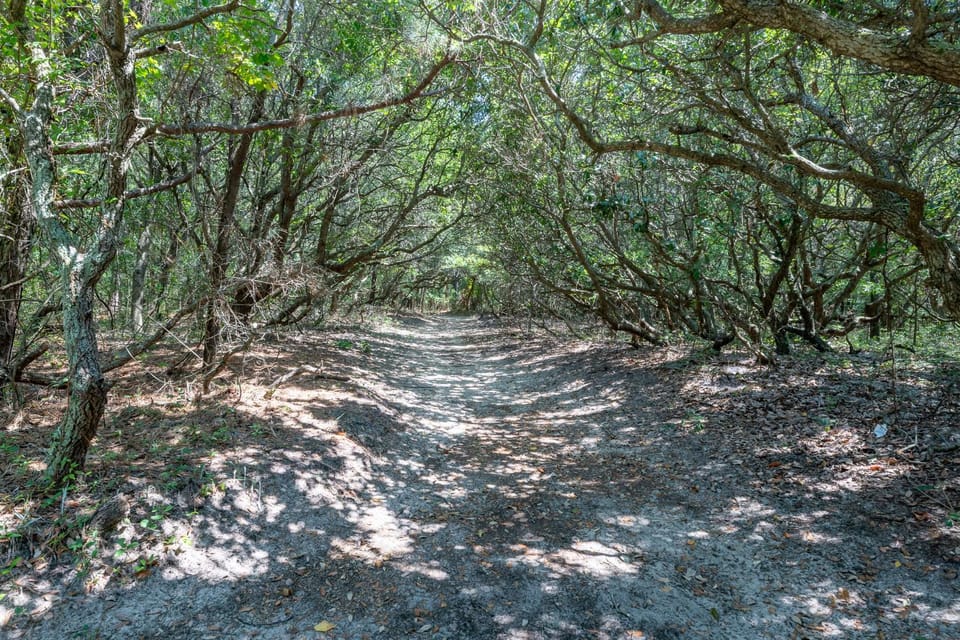 Carolina Breeze - Southern Shores, Chickahauk, 200 Yards to the Beach, Flex Stays, Private Decks House in Southern Shores