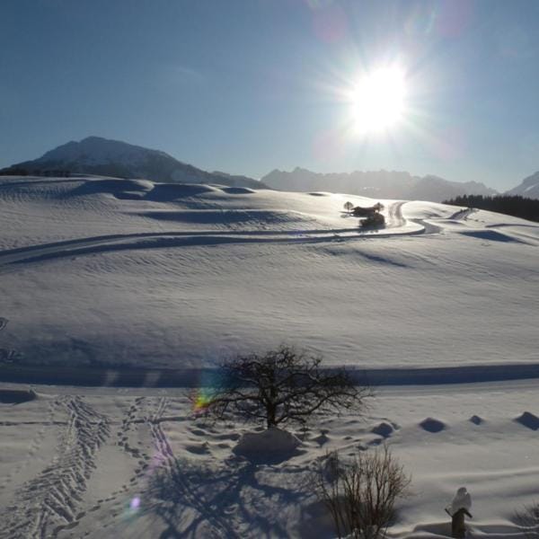 Stoibhof Familie Klauser Apartment in Salzburgerland