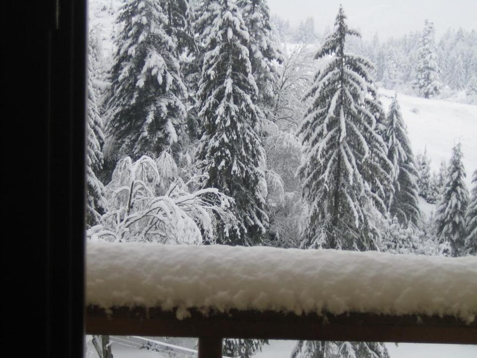 Balcony/Terrace, Mountain view