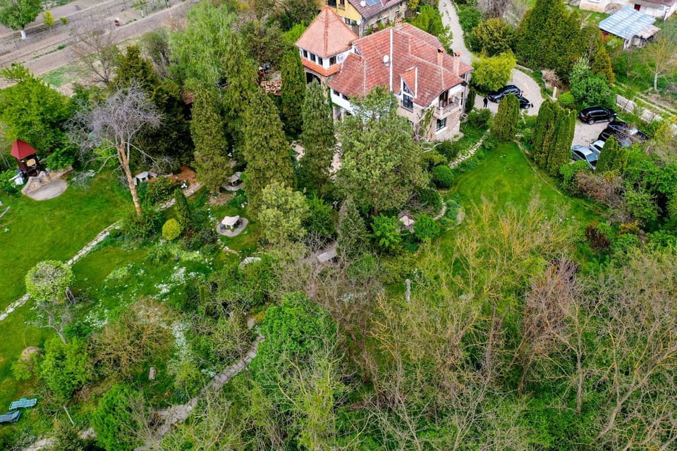 Property building, Bird's eye view, Garden