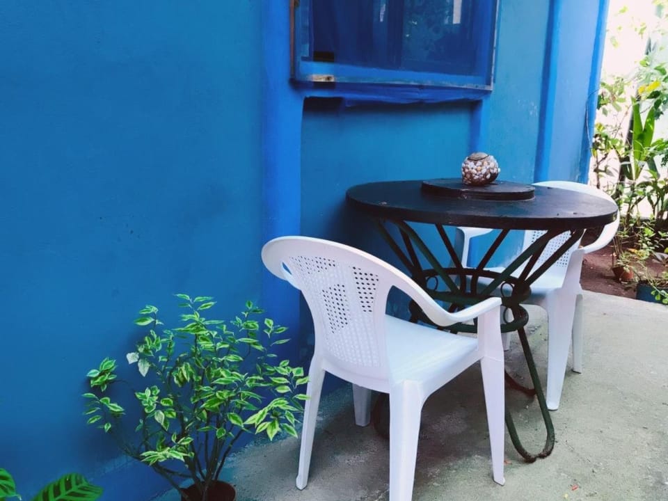Green Macaw Hostel Hotel in Costa Rica