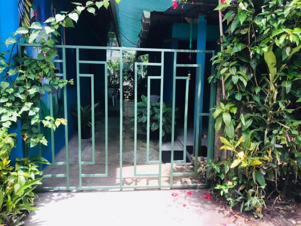 Green Macaw Hostel Hotel in Costa Rica