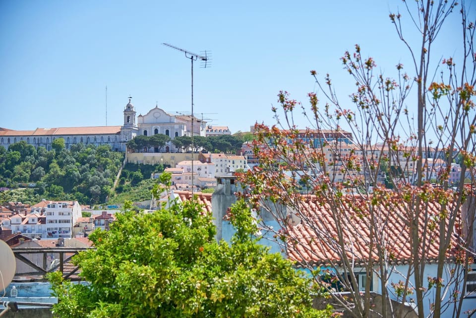 City view