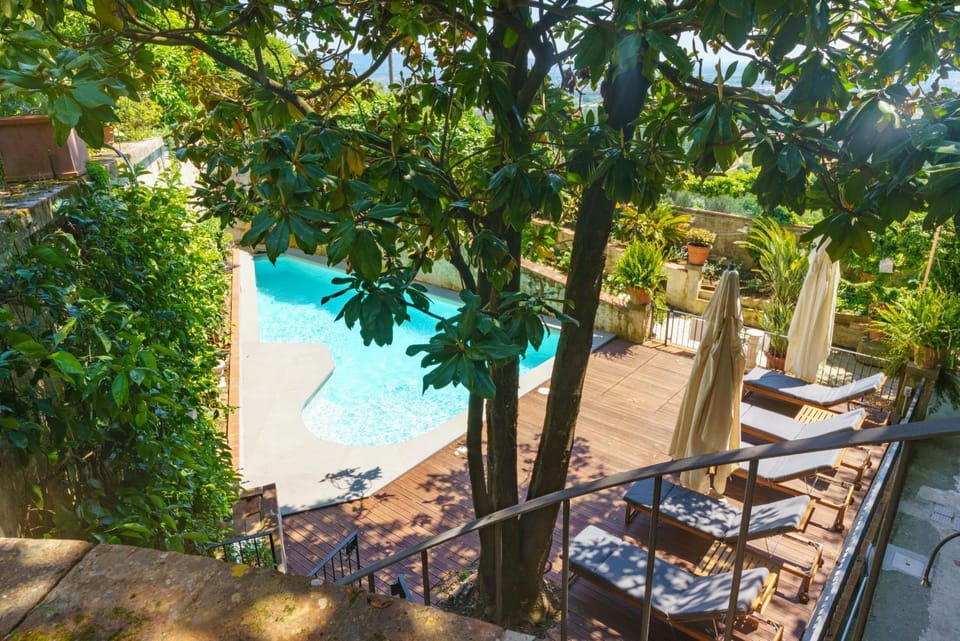 View (from property/room), Garden view, Swimming pool, sunbed