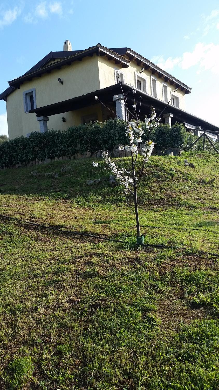 Property building, Garden view