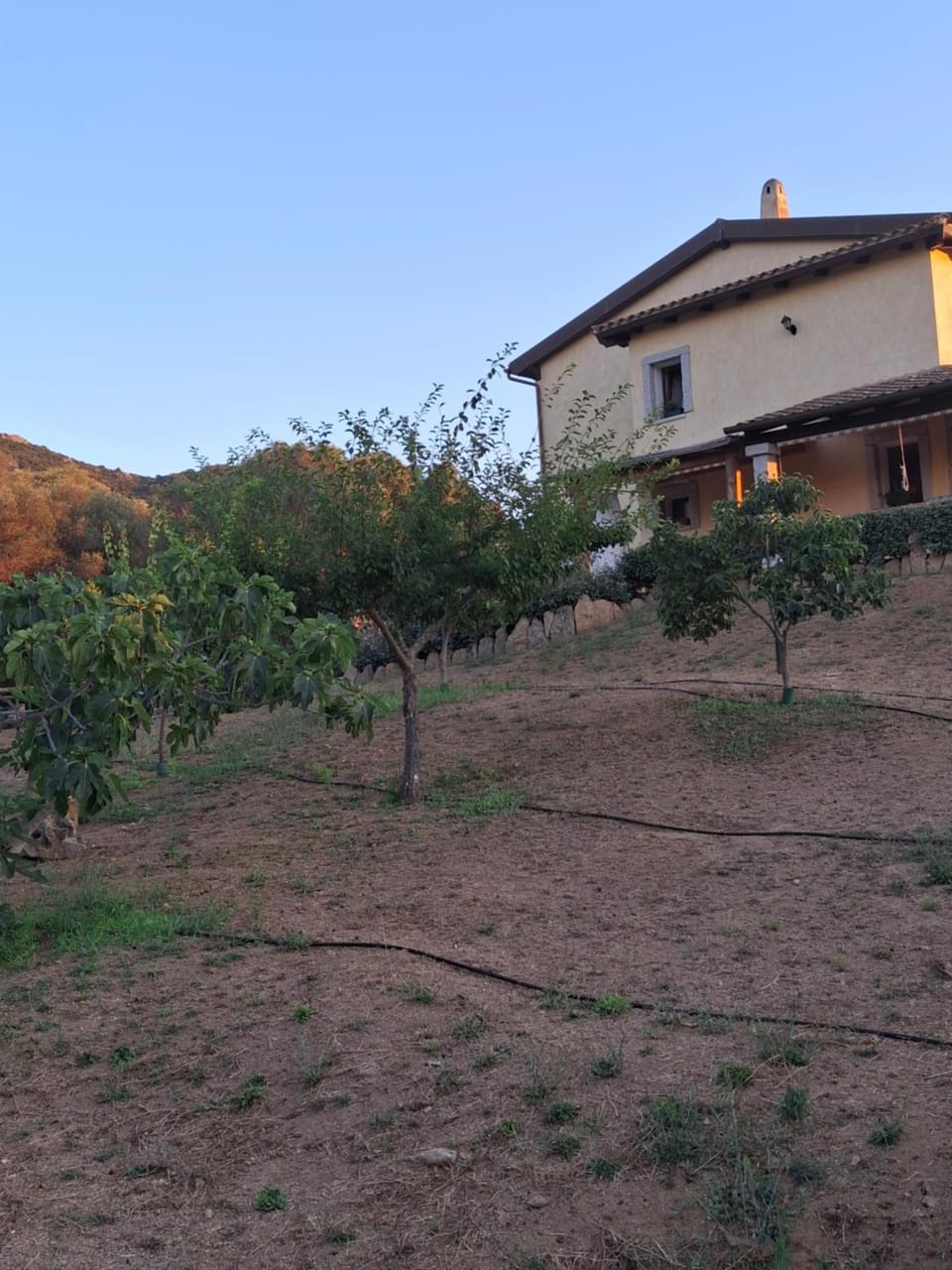 Natural landscape, Garden view