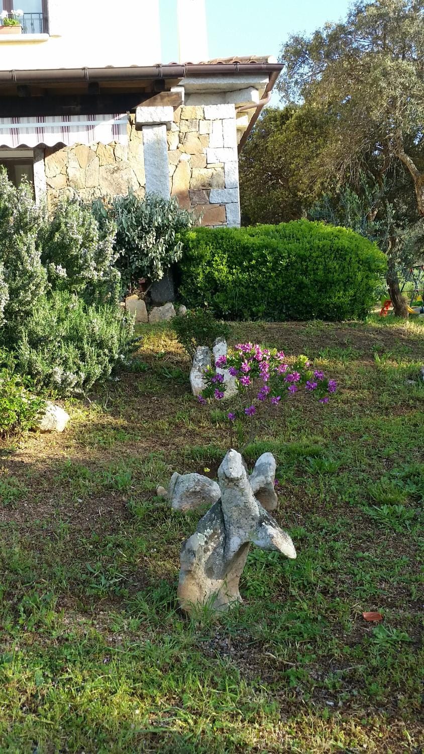Property building, Garden, Garden view