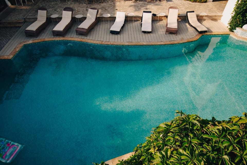 Day, Natural landscape, Garden, Garden view, Pool view, Swimming pool, sunbed