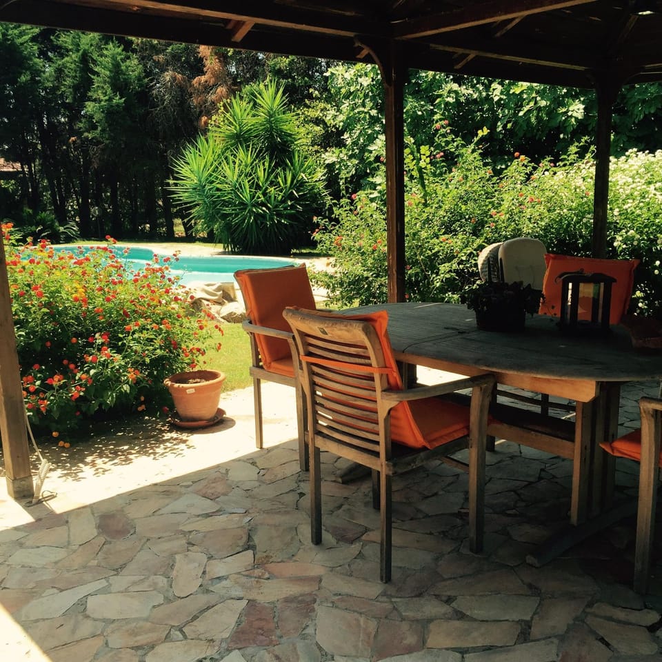 Garden view