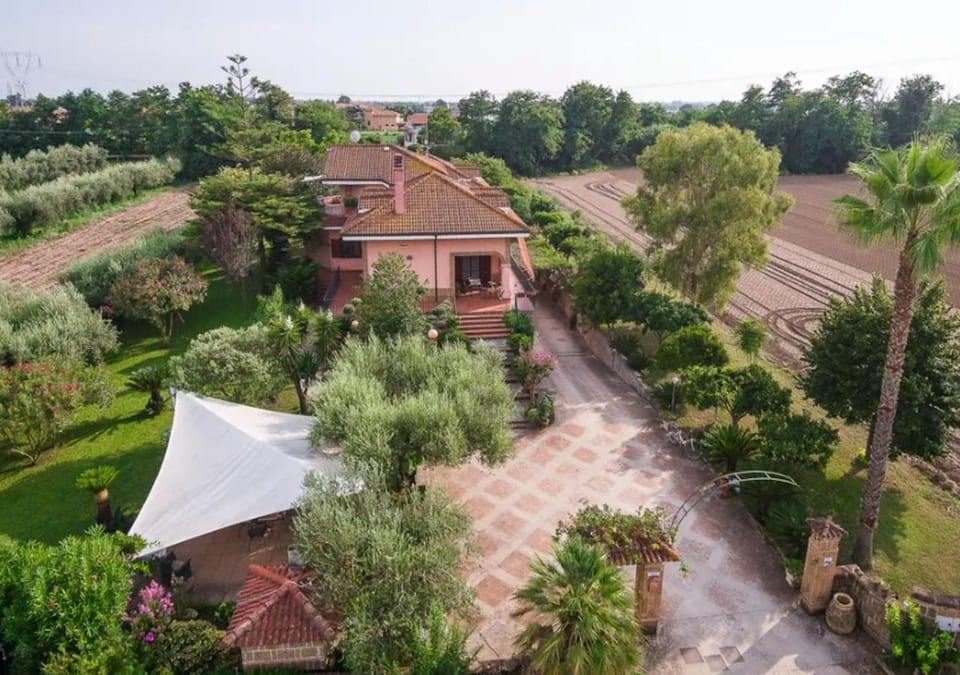 Bird's eye view, Garden view