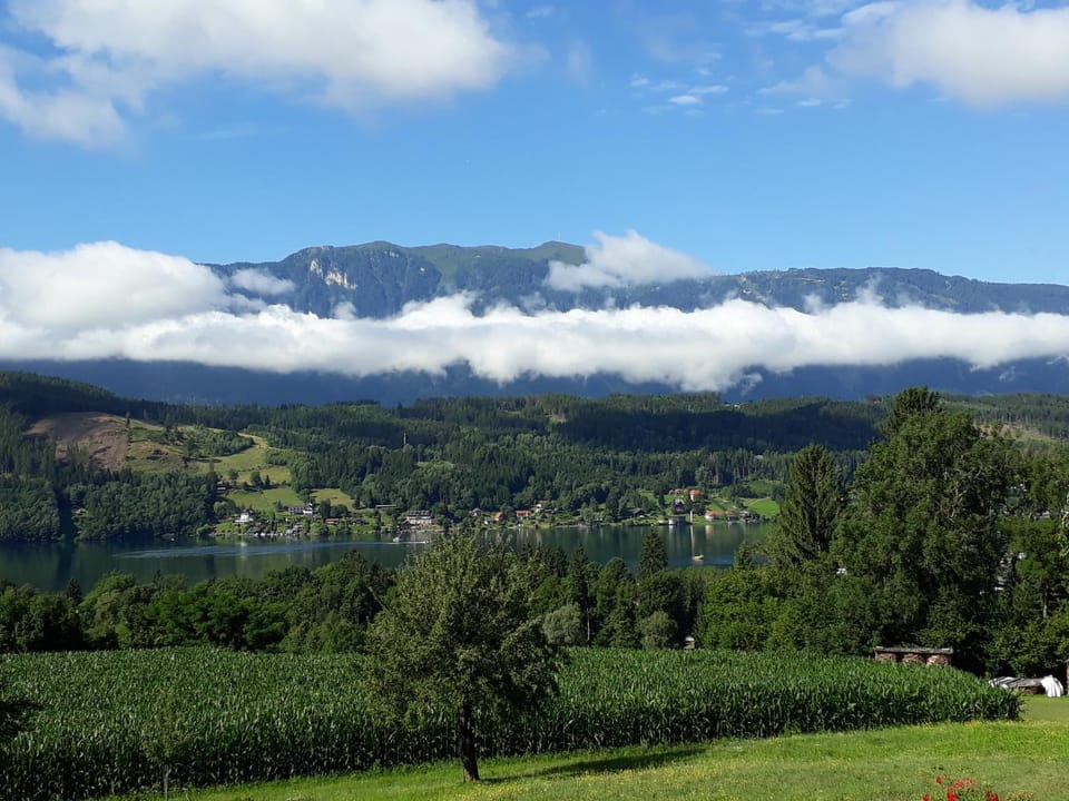 Pension Guggenbichler Bed and Breakfast in Carinthia, Austria