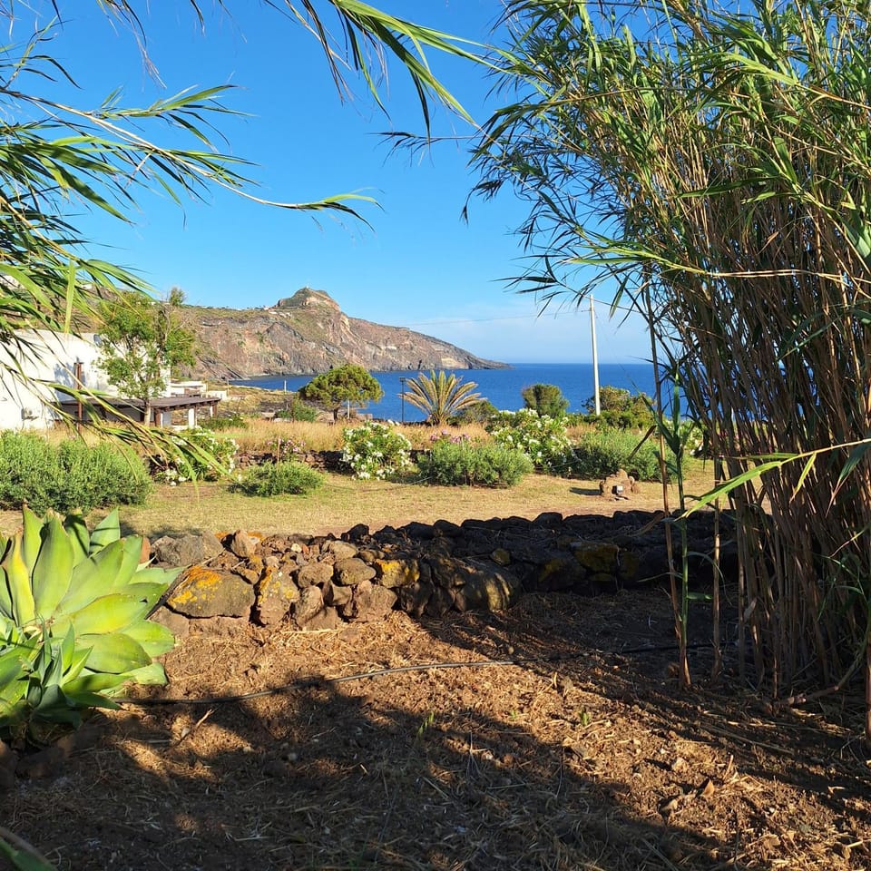 Dammuso Surya Il cappero monolocale Apartment in Sicily